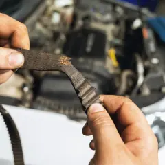 Zużyty pasek rozrządu Toyoty Aygo w rękach mechanika.
