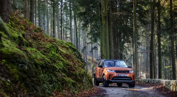 Pomarańczowy Land Rover Discovery 5 na leśnej drodze, otoczony mchem i jesiennymi liśćmi. Idealny do odkrywania nowych szlaków.