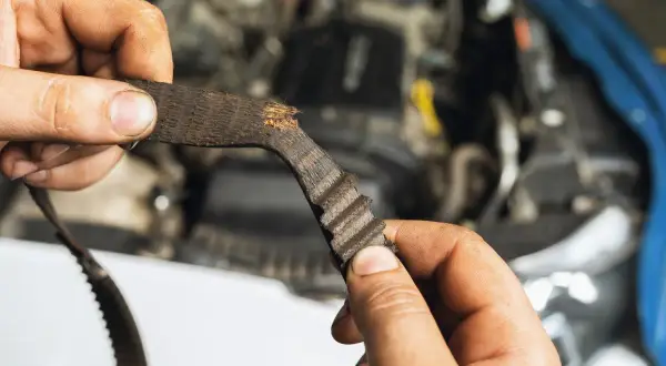 Zużyty pasek rozrządu Toyoty Aygo w rękach mechanika.