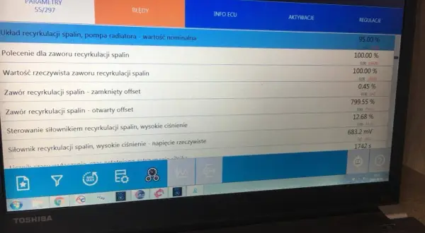Diagnostyka Audi A4: parametry układu recyrkulacji spalin, w tym zawór i jego offsety. p0401.