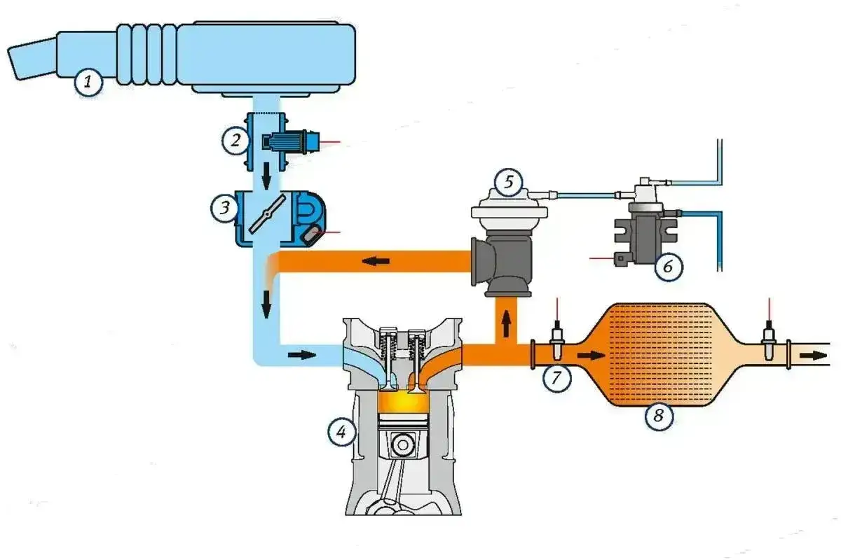 Schemat układu dolotowego silnika: p0401. Widzimy przepływ powietrza przez turbosprężarkę (5) do cylindra (4), a następnie przez układ wydechowy (8).