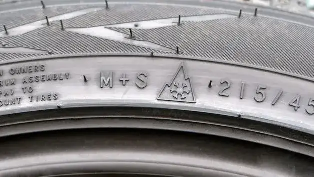 Symbol 3PMSF płatek śniegu na tle gór
