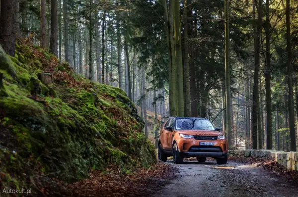 Pomarańczowy Land Rover Discovery 5 na leśnej drodze, otoczony mchem i jesiennymi liśćmi. Idealny do odkrywania nowych szlaków.